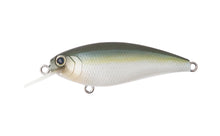 Load image into Gallery viewer, Reazzy