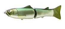 Load image into Gallery viewer, Slide Swimmer 175