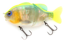 Load image into Gallery viewer, SG Gill Roid