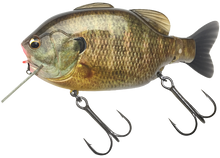 Load image into Gallery viewer, Kominami Gilluchiwa