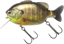 Load image into Gallery viewer, Kominami Gilluchiwa