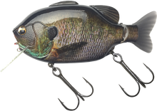 Load image into Gallery viewer, Kominami Gilluchiwa