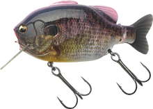 Load image into Gallery viewer, Kominami Gilluchiwa