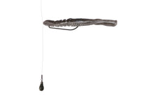 Load image into Gallery viewer, Hurry Shrimp