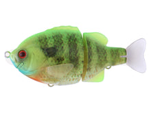 Load image into Gallery viewer, Tiny Bull Shooter