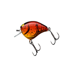 Load image into Gallery viewer, Bling 55