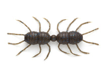 Load image into Gallery viewer, Fujin Spider Trailer