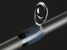 Load image into Gallery viewer, Destroyer P5 Casting Rods
