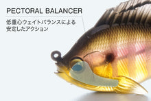 Load image into Gallery viewer, Sleeper Gill