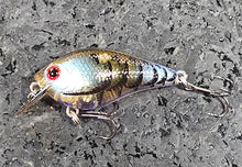 Load image into Gallery viewer, LC 0.3 Crankbait
