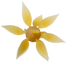 Load image into Gallery viewer, Coike Fish Gill

