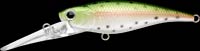 Bevy Shad 60DD