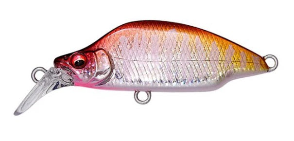 Great Hunting Bat A Fry – The Hook Up Tackle