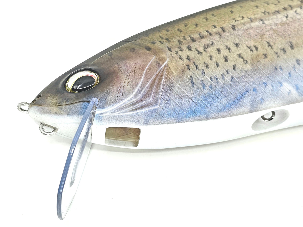Frenzy The Hook Up Tackle Frenzy the hook up tackle