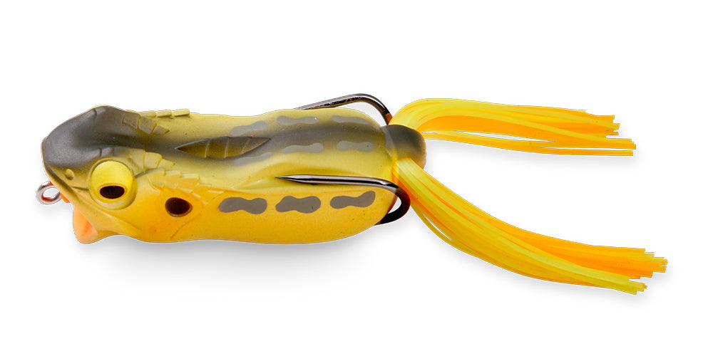 2025 JDM Experience New Releases – The Hook Up Tackle