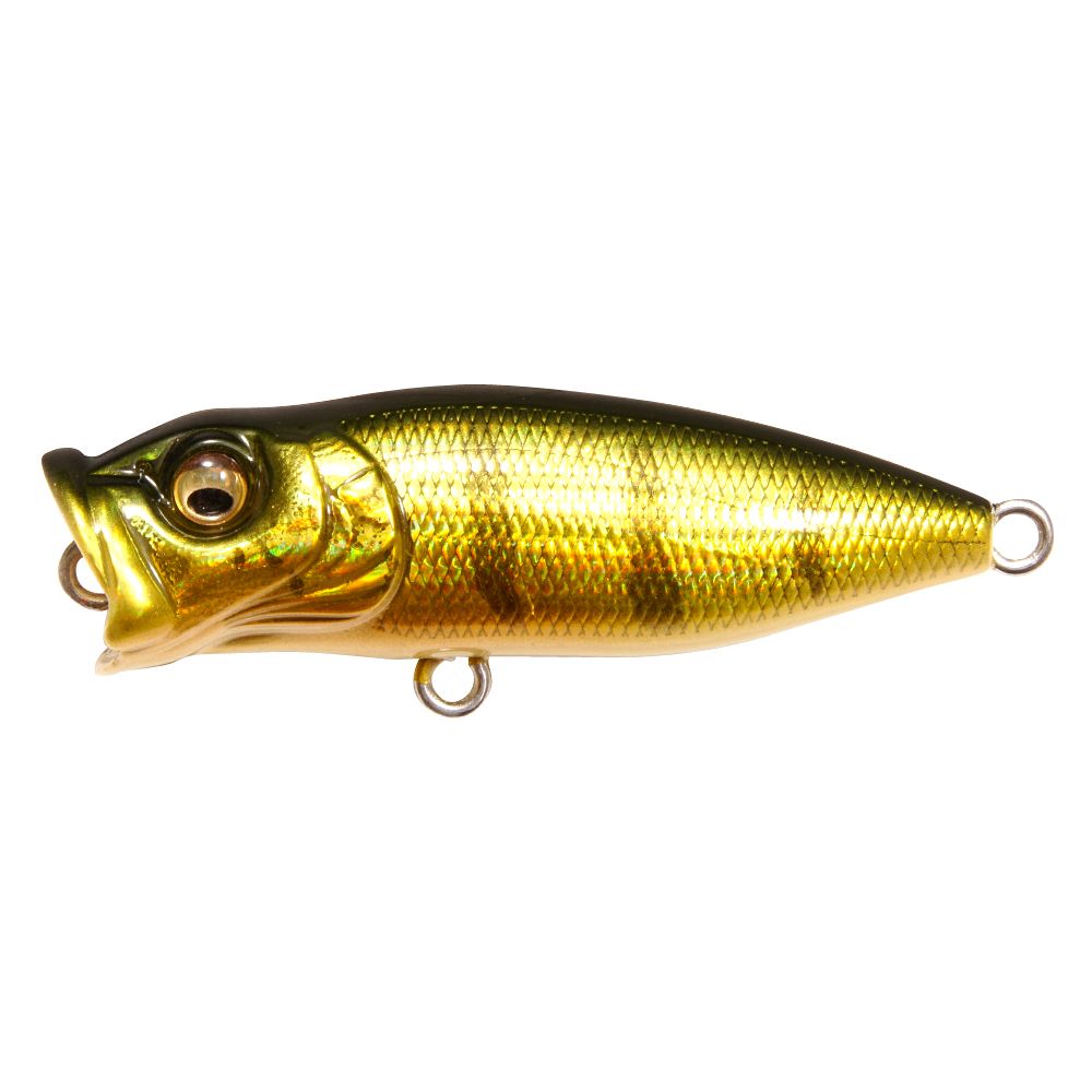 Baby Pop-X BFS – The Hook Up Tackle Baby Pop-X BFS – The Hook Up Tackle