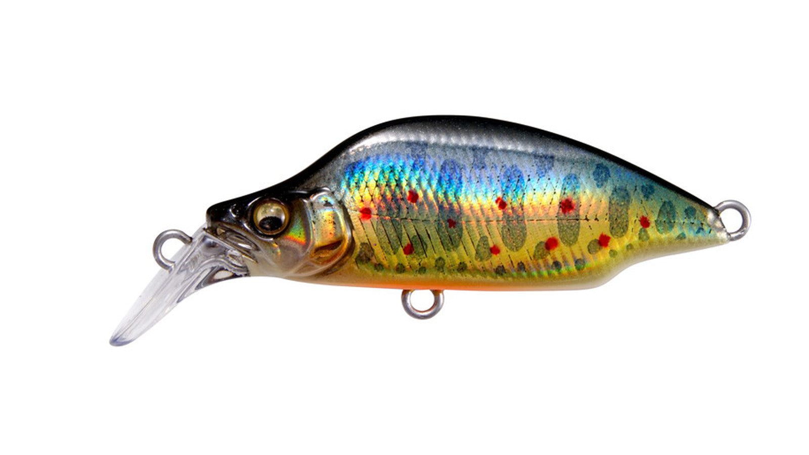 Great Hunting Bat A Fry – The Hook Up Tackle