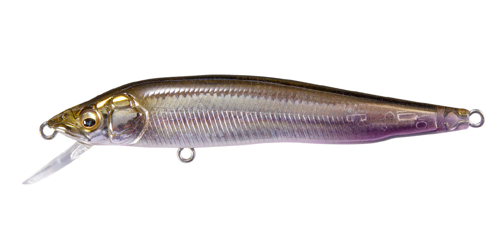 Ito Vision 95 Great Hunting – The Hook Up Tackle
