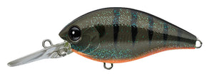 CR-8 Crankbaits