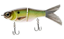 Load image into Gallery viewer, KGB Lil&#39; Guy 120
