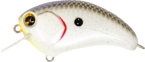 Bill Lowen Square Bill Crankbait