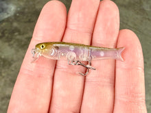 Load image into Gallery viewer, BFS Micro Glide Crank Minnow

