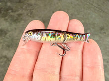 Load image into Gallery viewer, BFS Micro Glide Crank Minnow
