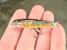 Load image into Gallery viewer, BFS Micro Glide Crank Minnow
