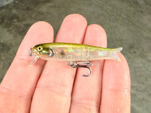 Load image into Gallery viewer, BFS Micro Glide Crank Minnow
