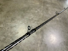 Load image into Gallery viewer, Explorer Glide Bait Rod
