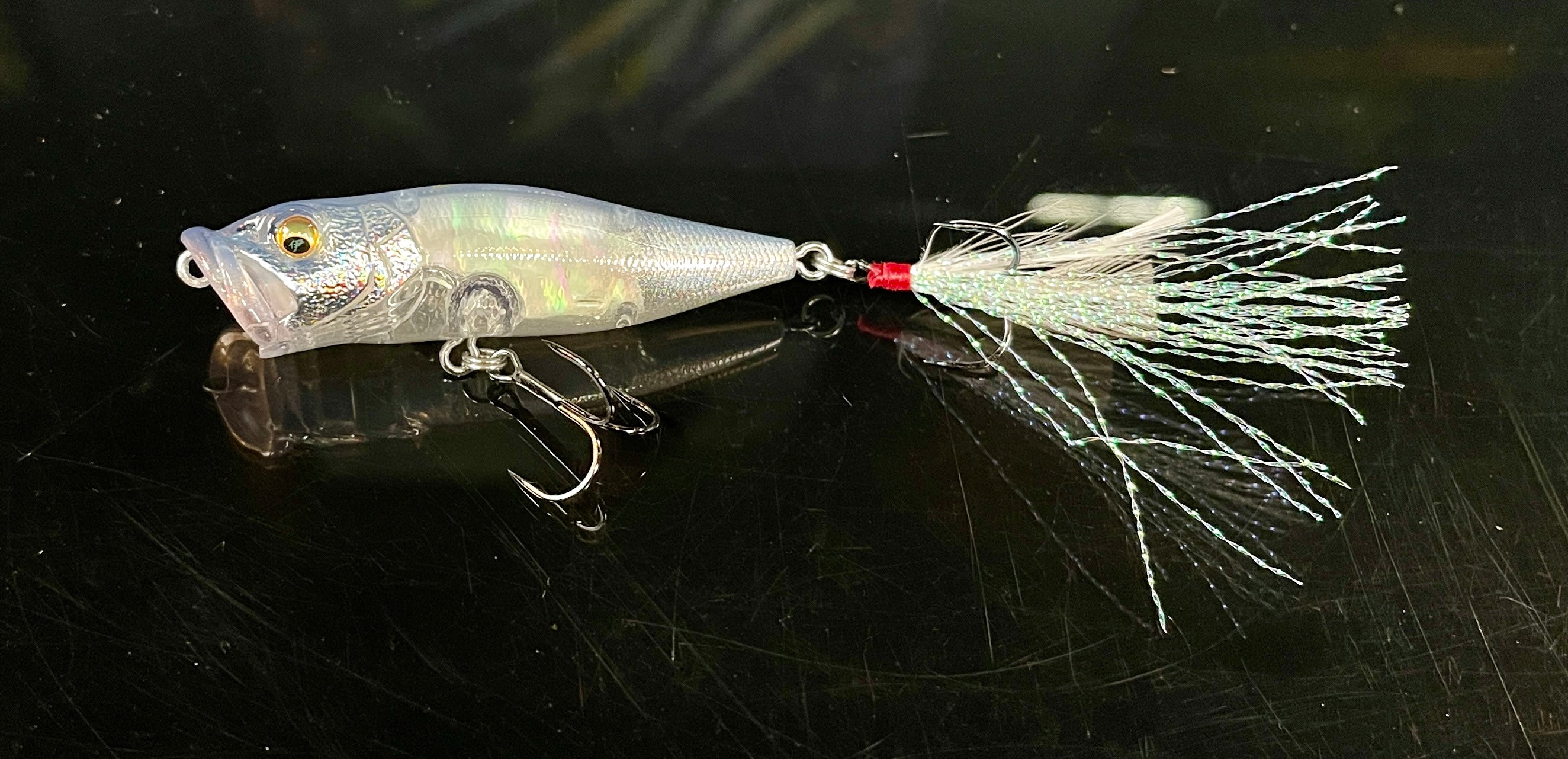 Craft Bait Abalone Popper - Saltywater Tackle Inc.