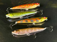 Load image into Gallery viewer, Year of the Snake Dog-X Collection

