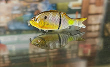 Load image into Gallery viewer, Micro BFS Glide Gill

