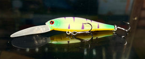 Pointer 65XD