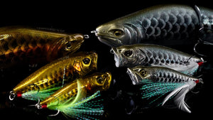 Year of the Dragon Limited Edition Baits