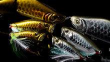 Load image into Gallery viewer, Year of the Dragon Limited Edition Baits
