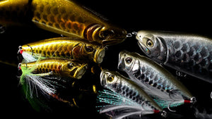 Year of the Dragon Limited Edition Baits