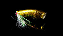 Load image into Gallery viewer, Year of the Dragon Limited Edition Baits
