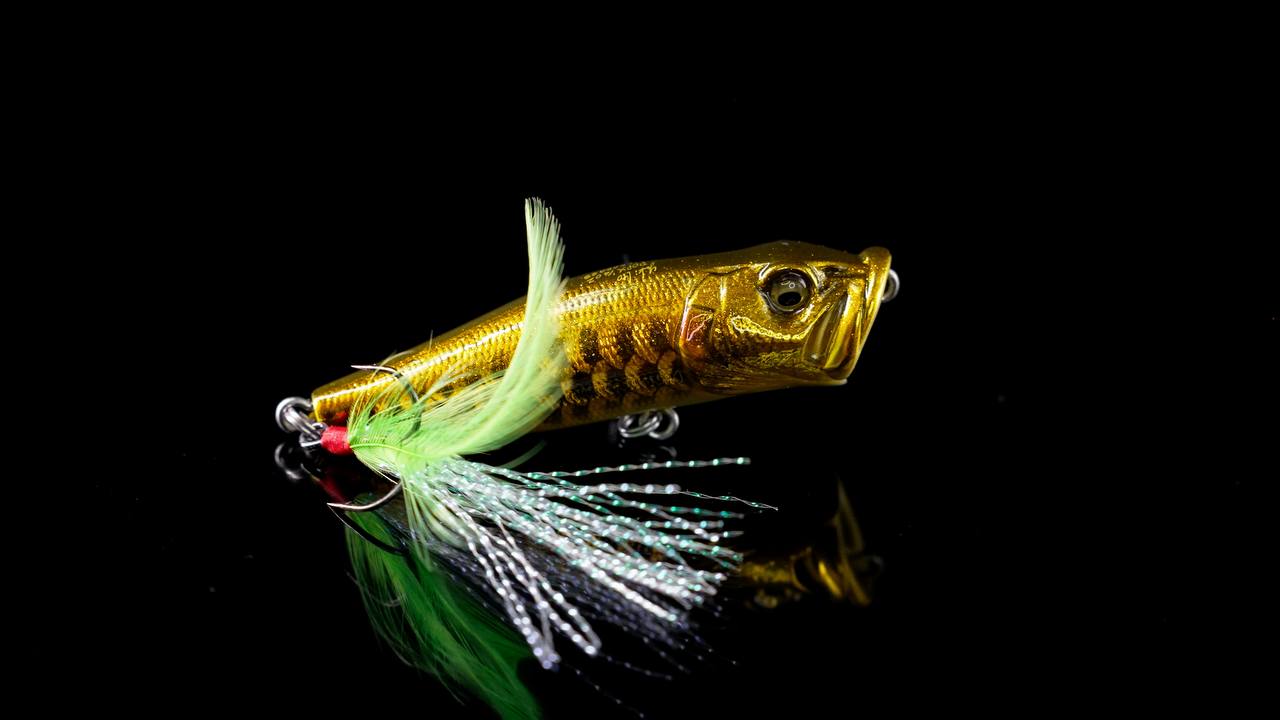 Year of the Dragon Limited Edition Baits – The Hook Up Tackle