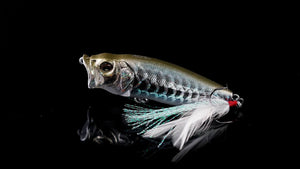 Year of the Dragon Limited Edition Baits