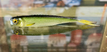 Load image into Gallery viewer, Fish Roller
