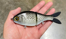Load image into Gallery viewer, Junior Shad
