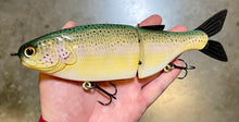 Load image into Gallery viewer, 10 inch Shad Glide
