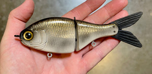 Junior Shad