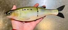 Load image into Gallery viewer, 11 inch Shad Glide
