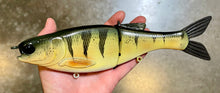 Load image into Gallery viewer, 11 inch Shad Glide
