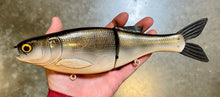 Load image into Gallery viewer, 11 inch Shad Glide
