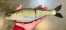 Load image into Gallery viewer, 11 inch Shad Glide
