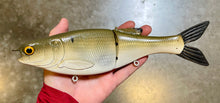 Load image into Gallery viewer, 11 inch Shad Glide
