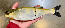 Load image into Gallery viewer, 11 inch Shad Glide
